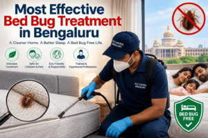 Professional technician performing odorless bed bug treatment on a mattress in a Bengaluru home while a family enjoys a bed bug-free environment.