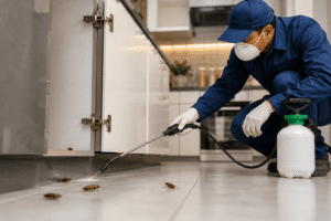 Best Cockroach Pest Control in Bangalore: Complete Homeowner's Guide to Cockroach Treatment (2026) 1 Pest control technician applying professional cockroach treatment along kitchen cabinets to eliminate a cockroach infestation in a Bangalore home.