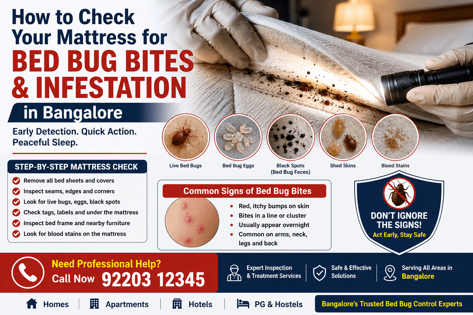 Bed Bug Bites Bangalore: Check Your Mattress