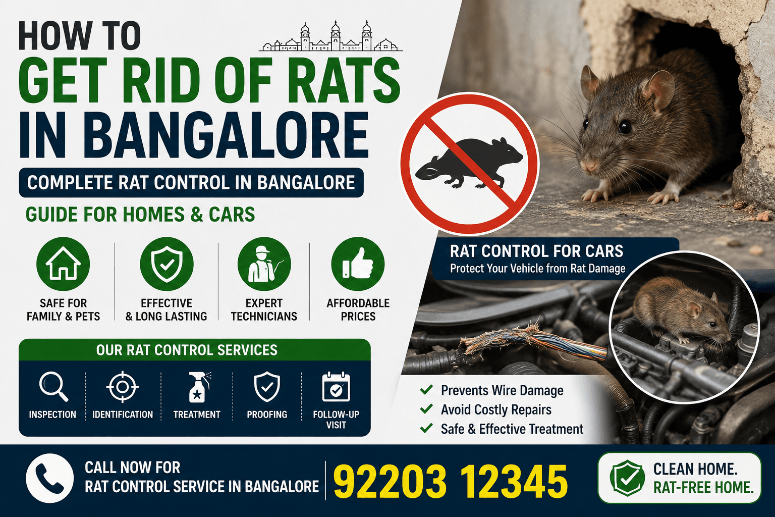 Rat control in Bangalore: Guide for homes & cars with services.