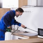 Top Pest Control Services in Bengaluru : Eco-Friendly Solutions for a Pest-Free Home