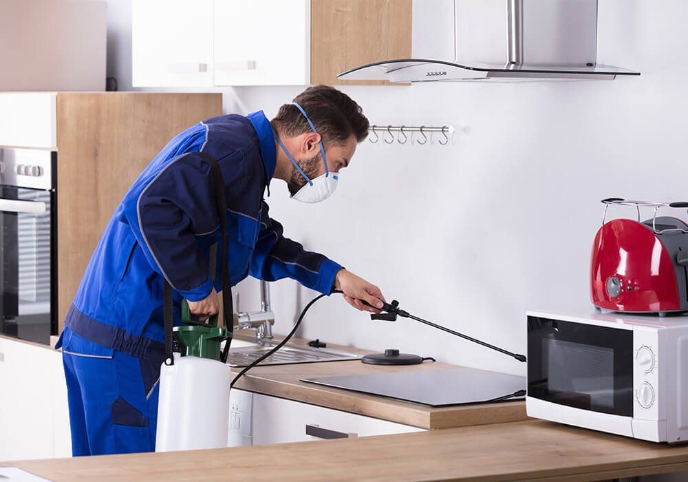 best pest control in bangalore