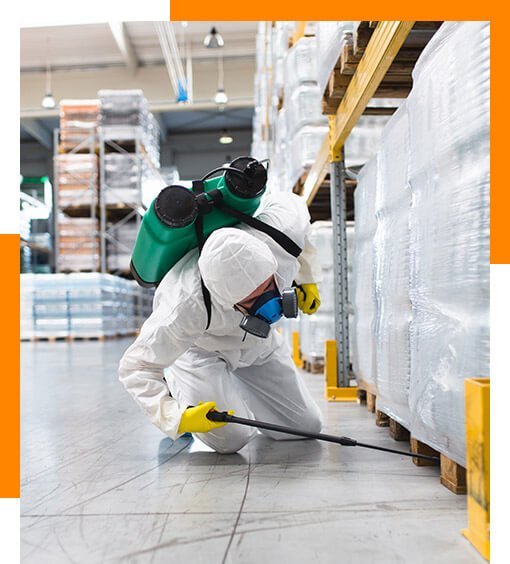 pest control in Bangalore