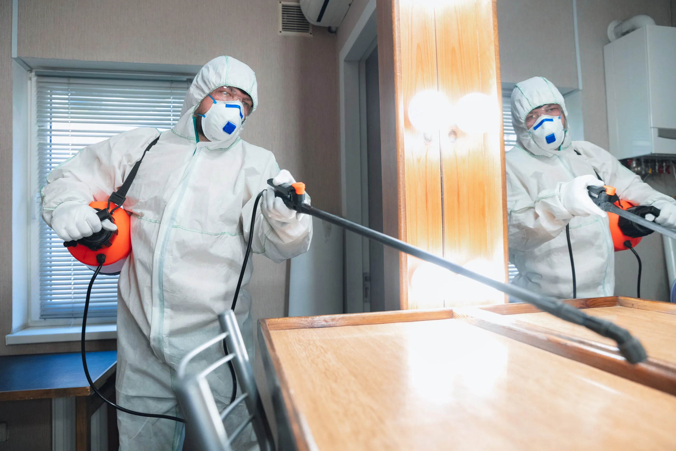 termite control in bangalore