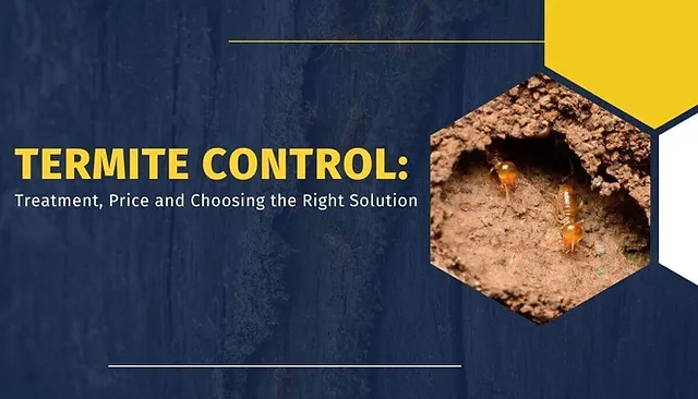 termite treatment cost in bangalore