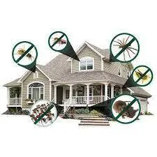 residential pest control in bangalore