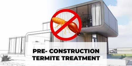 pre construction termite treatment in bangalore