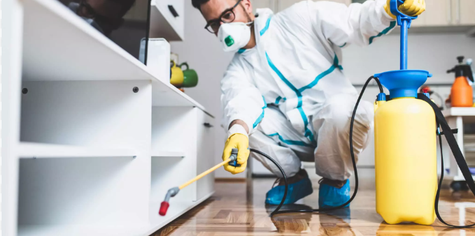 pest control in Koramangala