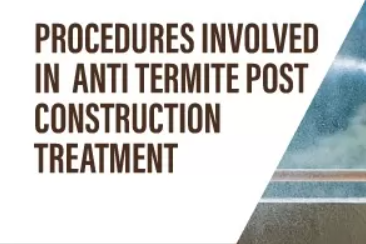 Anti-Termite Treatment in Construction