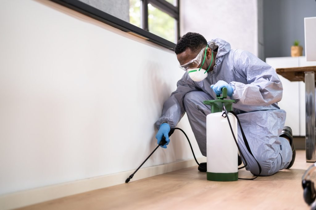 pest control in sarjapur road, bangalore