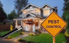 Comprehensive Pest Control in Bangalore