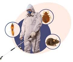 pest control near me
