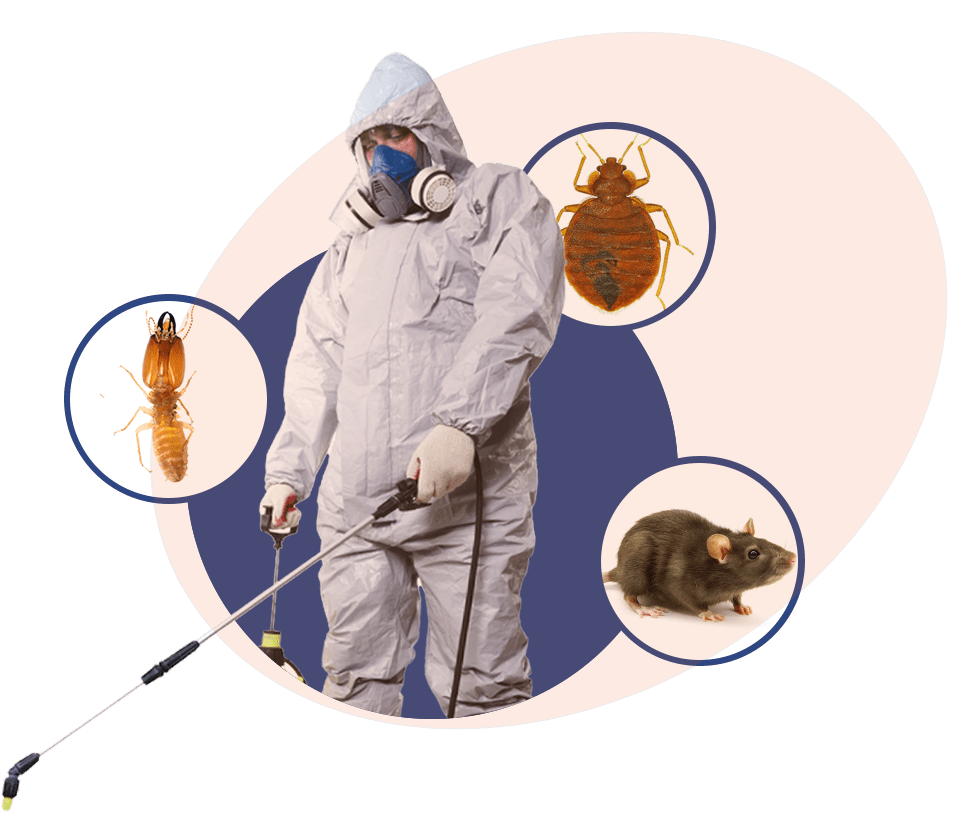 pest control in Sadashivanagar