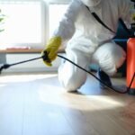 Which Pest Control in Rajajinagar, Bangalore is the best