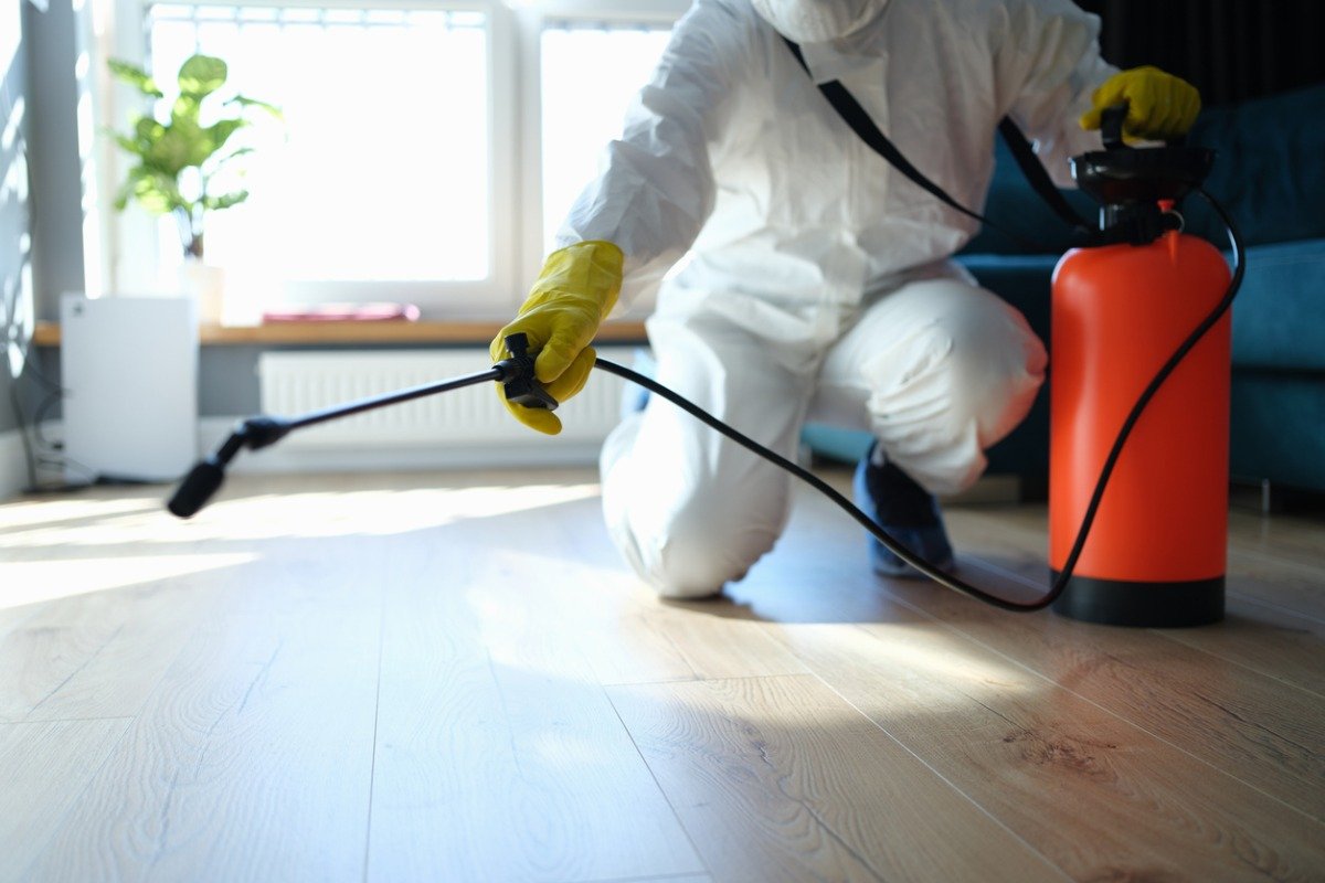 pest control in HSR layout, bangalore