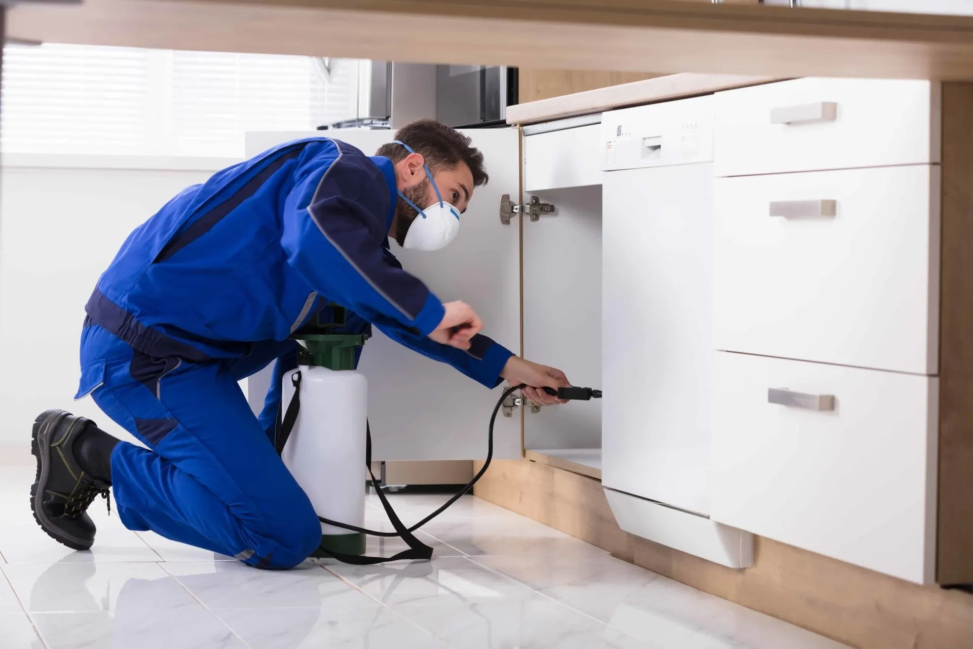 pest control in rajankunte bangalore