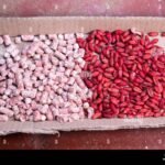 Most Effective Rat Repellent in Bangalore – Rodent Bait – Rodent Control Services