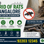 How to Get Rid of Rats in Bangalore – Complete Rat Control in Bangalore -Guide for Homes & Cars