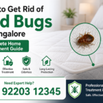 How to Get Rid of Bed Bugs in Bangalore – Complete Home Treatment Guide