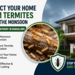 How to Protect Your Home from Termites in Bangalore Before the Monsoon