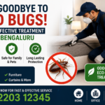 What Is the Most Effective Treatment Against Bed Bugs in Bengaluru ?