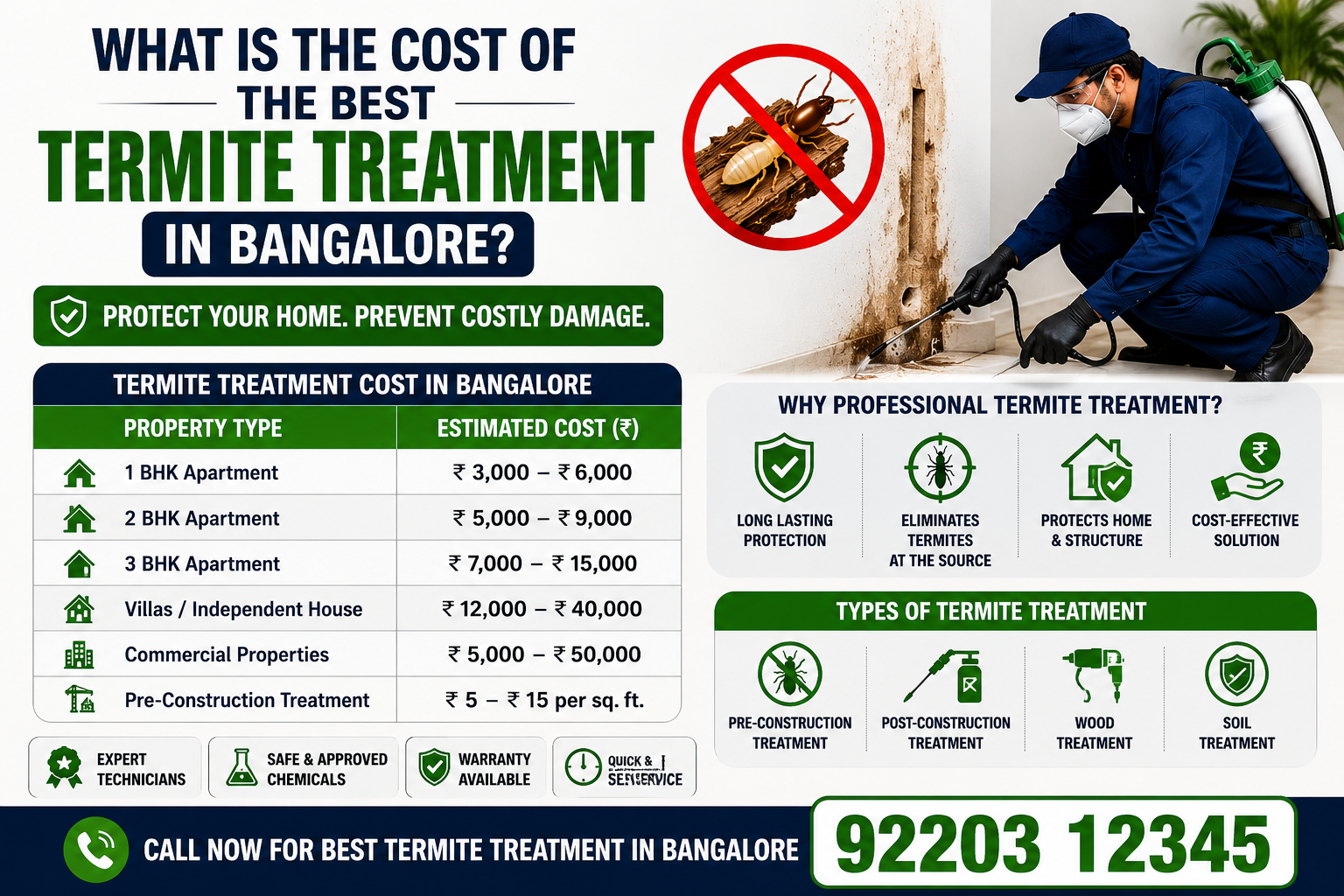 termite control in bangalore