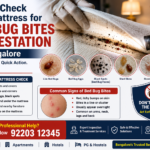 Bed Bug Bites Bangalore: Check Your Mattress