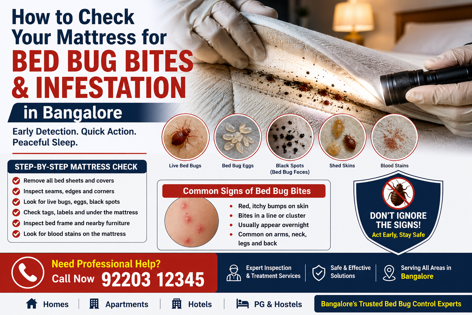 bed bug bites bangalore