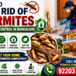 How to Get Rid of Termites at Home – Termite Control in Bangalore