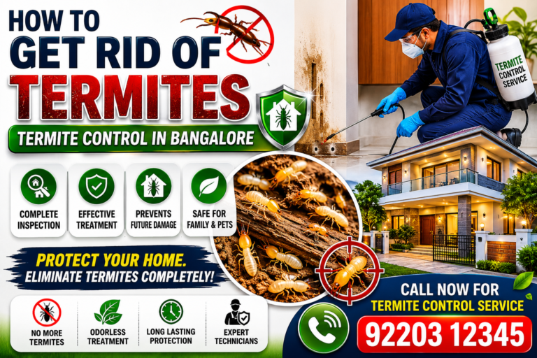 How to Get Rid of Termites at Home – Termite Control in Bangalore