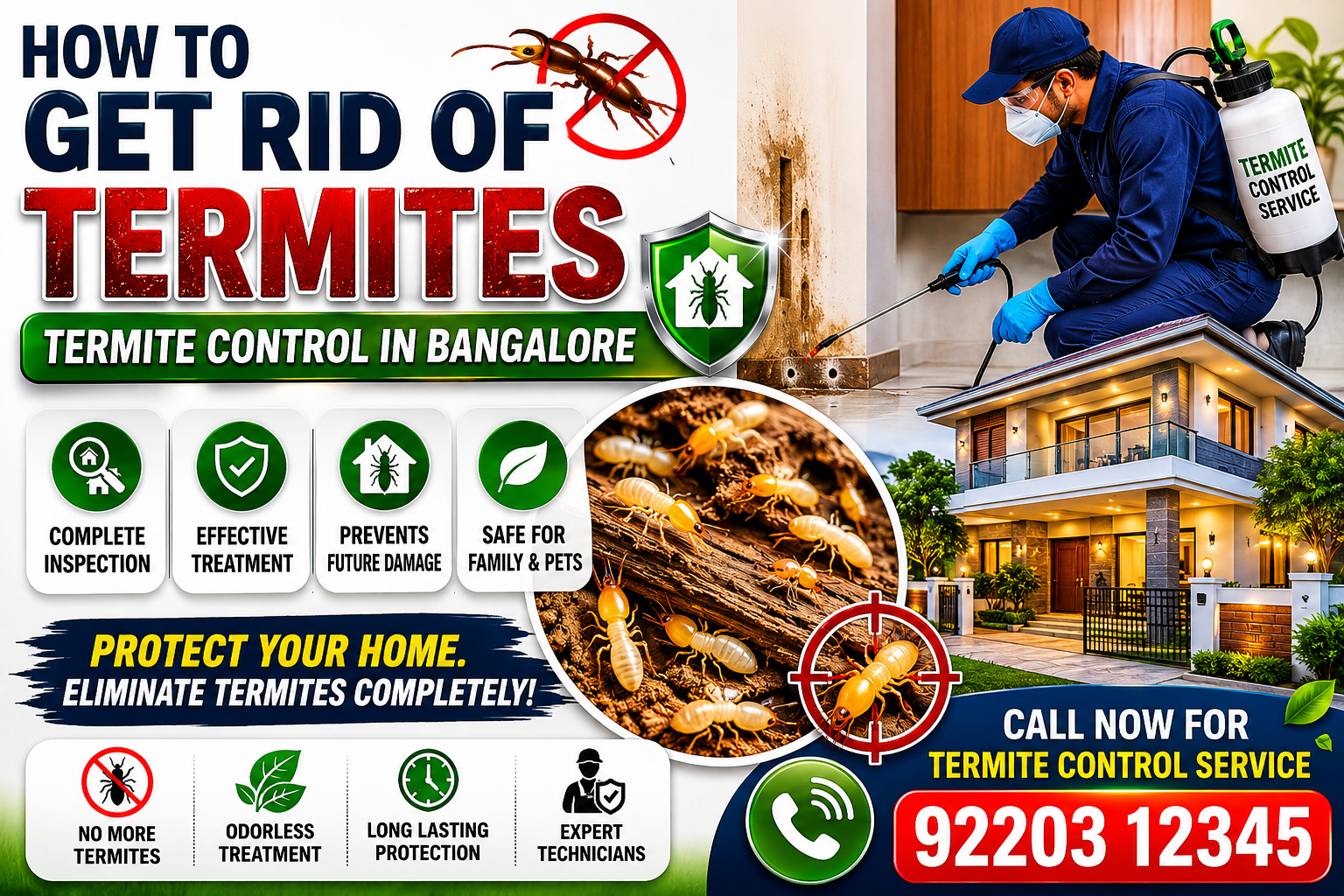 termite control in bangalore