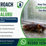 How to Get Rid of Cockroaches in Bengaluru Homes During Monsoon