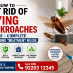 How to Get Rid of Flying Cockroaches at Home – Complete Bangalore Treatment Guide