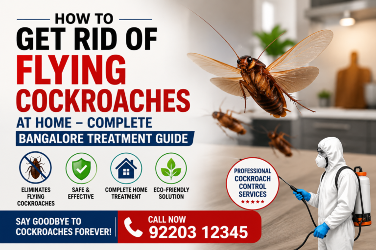 How to Get Rid of Flying Cockroaches at Home – Complete Bangalore Treatment Guide