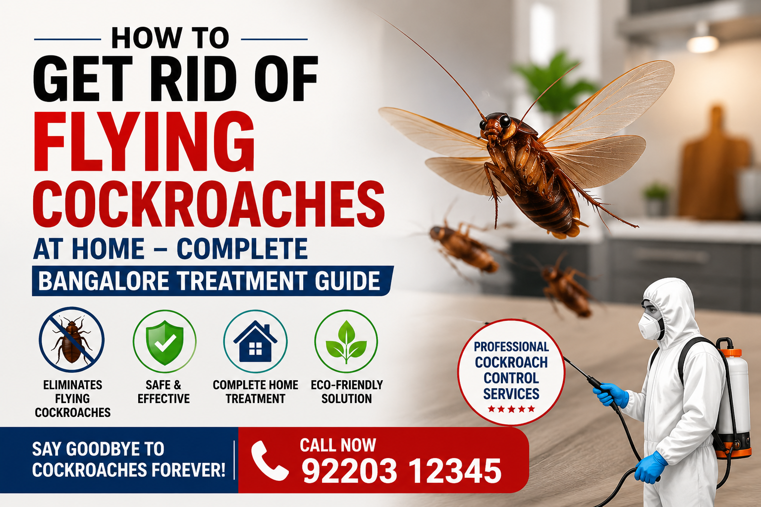 get rid of flying cockroaches bangalore