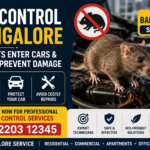 Why Are Rats Entering Bangalore Cars? Rat Control Bangalore Guide