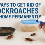 8 Ways To Get Rid Of Cockroaches At Home Permanently