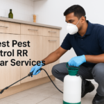 8 Best Pest Control RR Nagar Services (Rajarajeshwari Nagar)