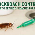 Cockroach Control: How to Get Rid of Roaches for Good
