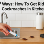 7 Ways: How To Get Rid Of Cockroaches In Kitchen Fast