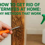 How to Get Rid of Termites at Home: DIY Methods That Work