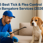 5 Best Tick & Flea Control In Bangalore Services (2026)