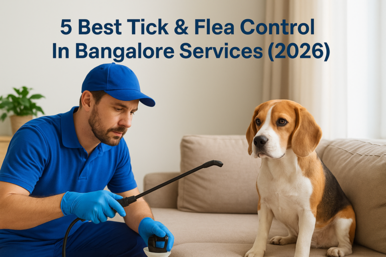 5 Best Tick & Flea Control In Bangalore Services (2026)