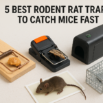 5 Best Rodent Rat Traps to Catch Mice Fast