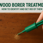 Wood Borer Treatment: How to Identify and Get Rid of Them